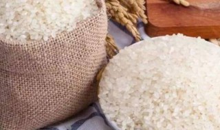 小町米和普通米的区别（东北小町米属于什么米种）