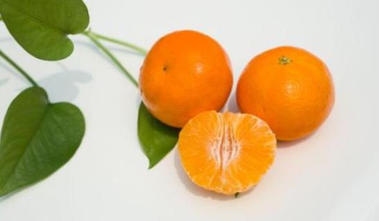 香妃柑是橘子还是橙子