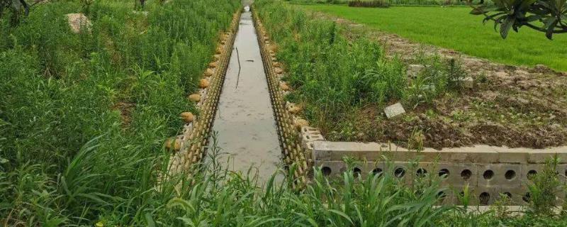 田間灌排渠系主要指，農田排水溝和灌溉溝渠的區別