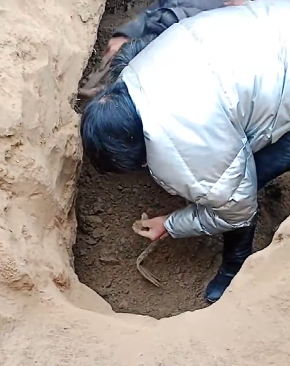山东菏泽发现汉朝古墓，村民争相挖宝？当地：系炒作，只是几枚铜钱