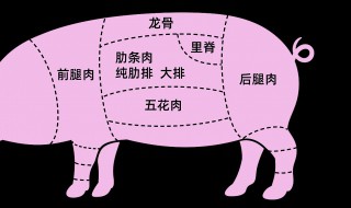 猪肉分割方法步骤 新手分割猪肉的技巧与方法