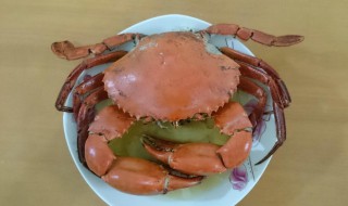 怎么水煮螃蟹 怎样煮螃蟹最好吃