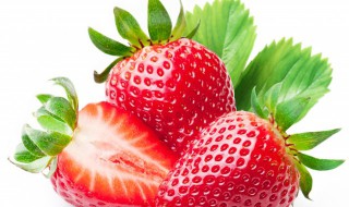 草莓种植技术 草莓种植技术与管理法