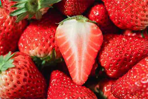 2022年红颜草莓多少钱一斤 红颜草莓一亩产多少斤
