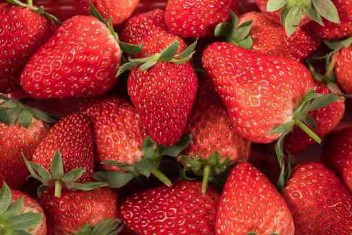 红颜草莓和奶油草莓的区别是什么