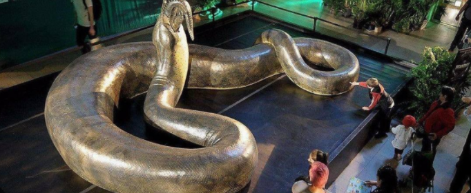 科考最大的蛇究竟有多大 现在最大的蛇是什么蛇