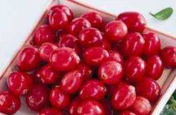 蔓越莓的功效与作用及禁忌有哪些