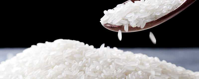 粳米和籼米的区别（粳米和籼米的区别哪个好）