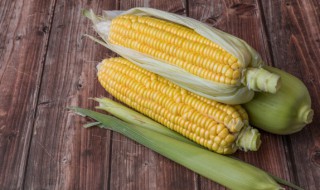 玉米什么时候播种最好 玉米什么时候播种最好?