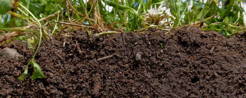 土壤退化是如何发生的，酸性土壤改良方法用什么肥