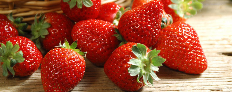 草莓容易得什么病 草莓容易得什么病害