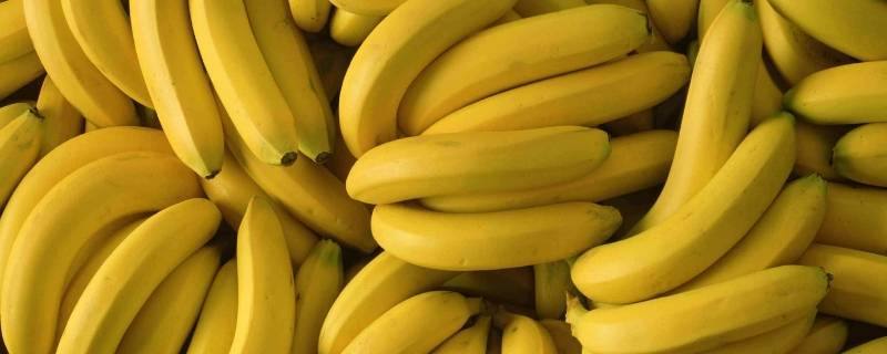 香蕉催熟的方法 香蕉催熟的方法 一根一根