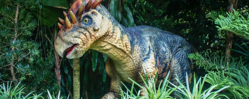爬行类的恐龙主要生活在什么年代（爬行类的恐龙主要生活在什么时代）