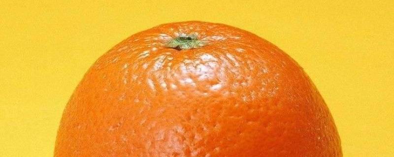 橙色代表什么寓意和象征意义（橙色寓意象征什么意思）