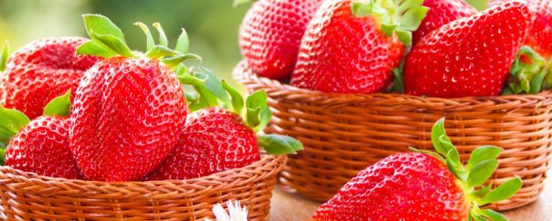 章姬草莓和红颜草莓区别 章姬草莓和红颜草莓哪个甜