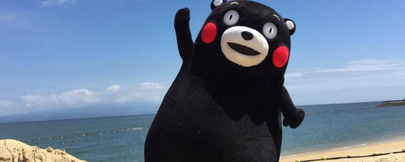 日本熊玩偶叫什么 日本的黑熊玩偶叫啥