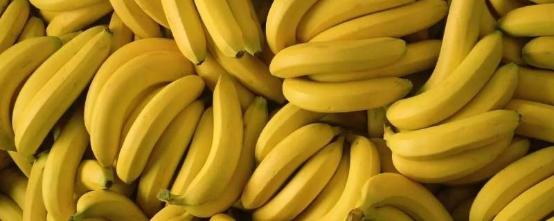 香蕉保存一个月的方法 香蕉的保存方法 香蕉怎么保存时间长