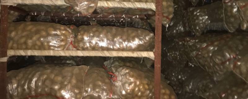 土豆保鲜库储存方法 土豆保鲜库能保存多久