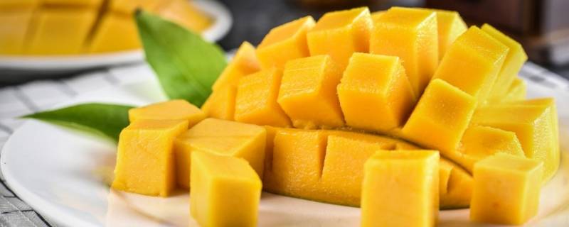芒果可以和什么水果一起榨果汁 芒果可以跟什么水果一起榨汁