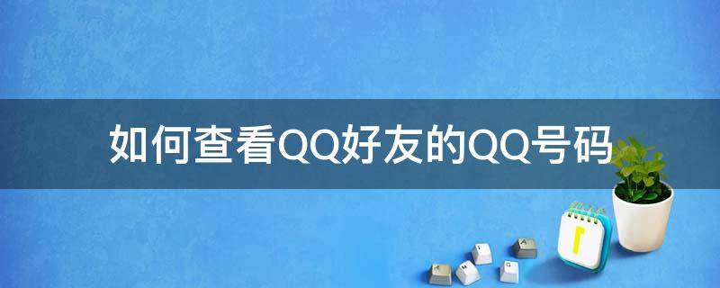 如何查看QQ好友的QQ号码（怎么查看qq好友的qq号码）