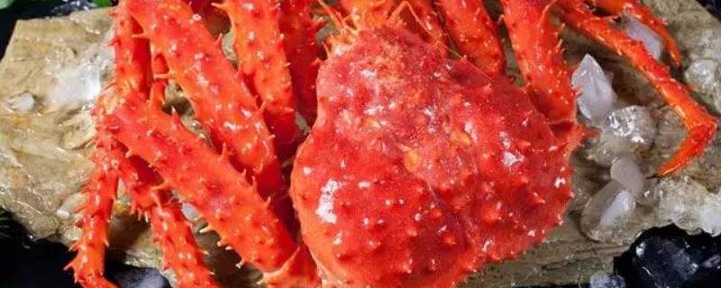 帝王蟹怎么做好吃又简单的做法 帝王蟹怎么做好吃又简单的做法清蒸帝王蟹