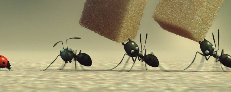 怎么去蚂蚁 有蚂蚁怎么消灭