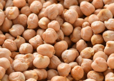 鹰嘴豆的高产种植技术 鹰嘴豆的高产种植技术视频