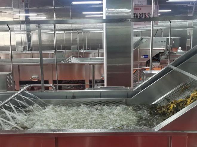 新成立的华隆酸菜公司已经投产，酸菜需经过多道清洗程序