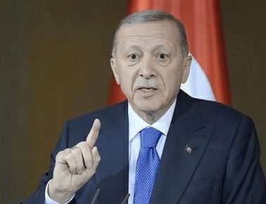“如果土耳其不打击，美国将不得不采取行动”