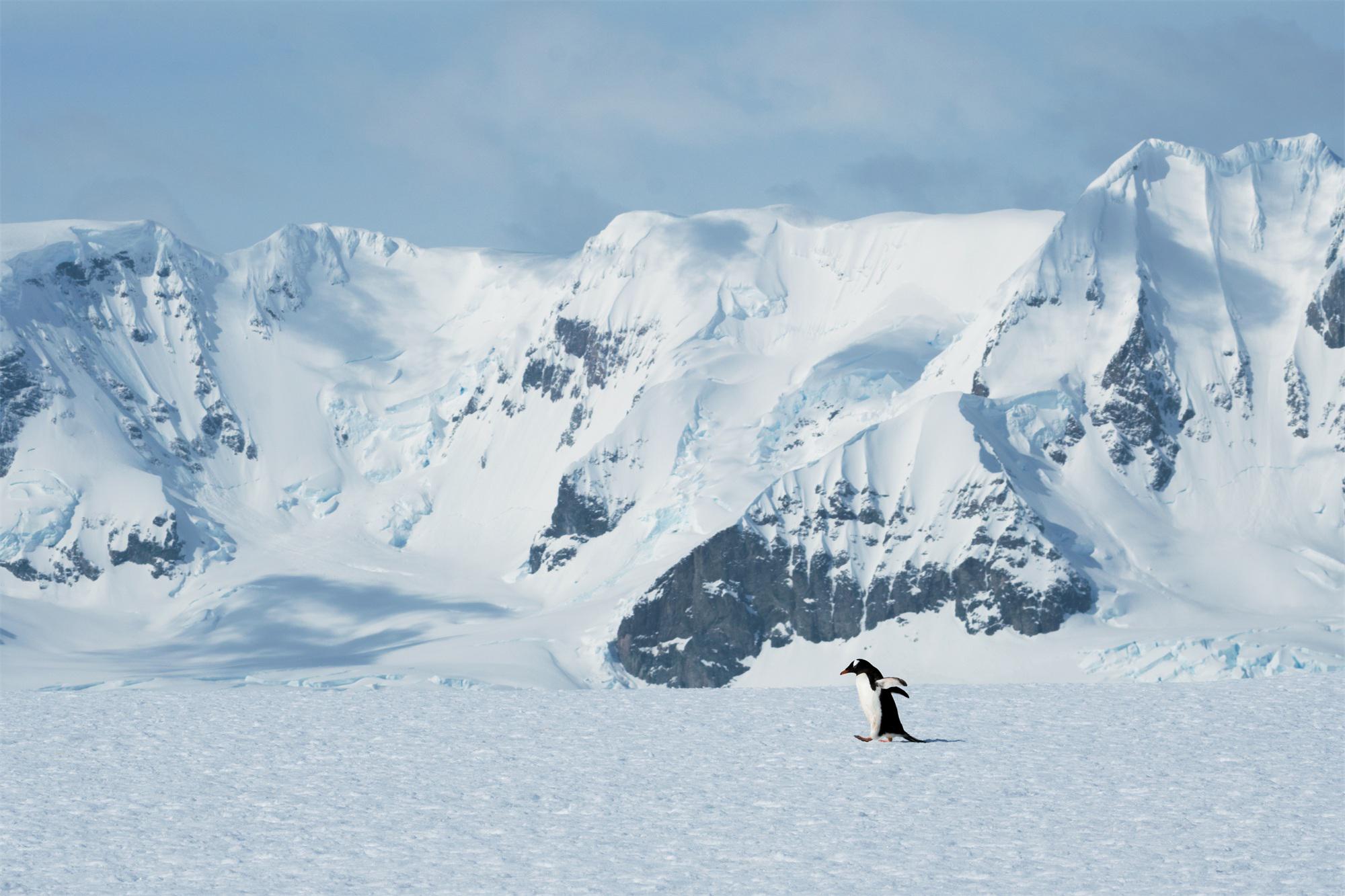 去南极的年轻人，花10万“重启人生”（在南极求生的电影）